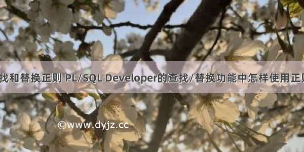 oracle查找和替换正则 PL/SQL Developer的查找/替换功能中怎样使用正则表达式？