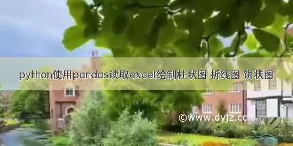 python使用pandas读取excel绘制柱状图 折线图 饼状图