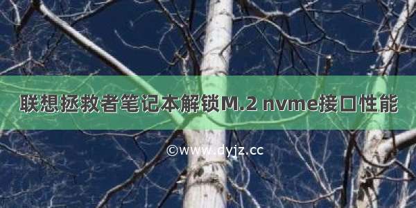 联想拯救者笔记本解锁M.2 nvme接口性能