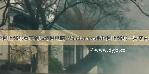 xp系统网上邻居看不到局域网电脑_Windowsxp系统网上邻居一片空白怎么办