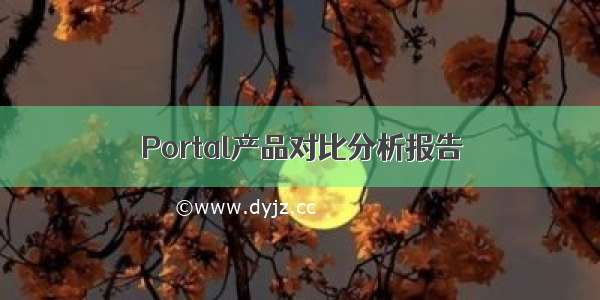 Portal产品对比分析报告