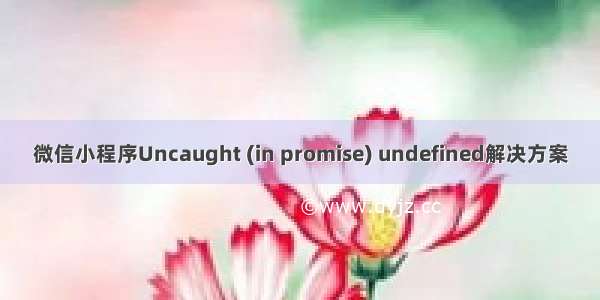微信小程序Uncaught (in promise) undefined解决方案