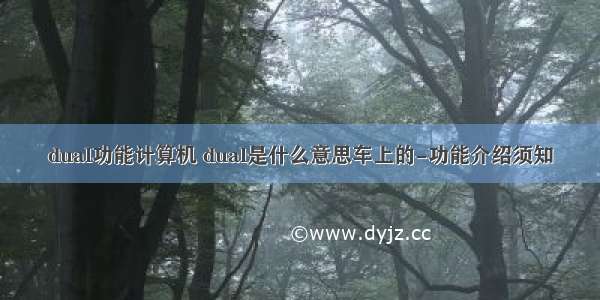 dual功能计算机 dual是什么意思车上的-功能介绍须知