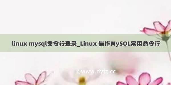 linux mysql命令行登录_Linux 操作MySQL常用命令行