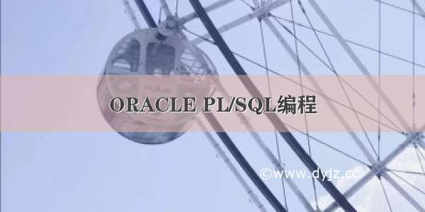 ORACLE PL/SQL编程