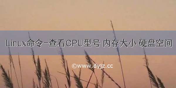 Linux命令-查看CPU型号 内存大小 硬盘空间