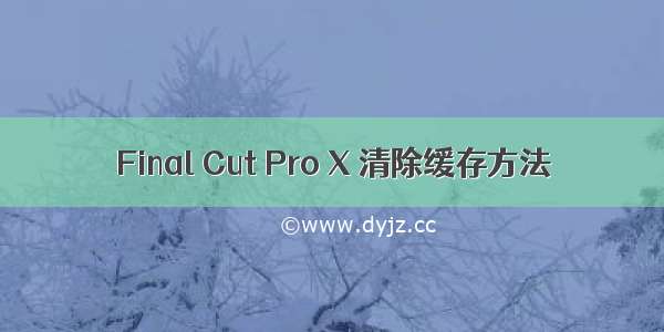 Final Cut Pro X 清除缓存方法