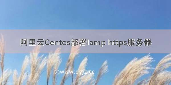 阿里云Centos部署lamp https服务器