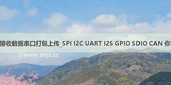 linux can总线接收数据串口打包上传_SPI I2C UART I2S GPIO SDIO CAN 你能分清楚吗？...