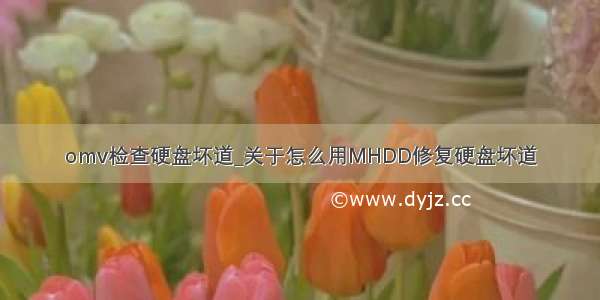 omv检查硬盘坏道_关于怎么用MHDD修复硬盘坏道