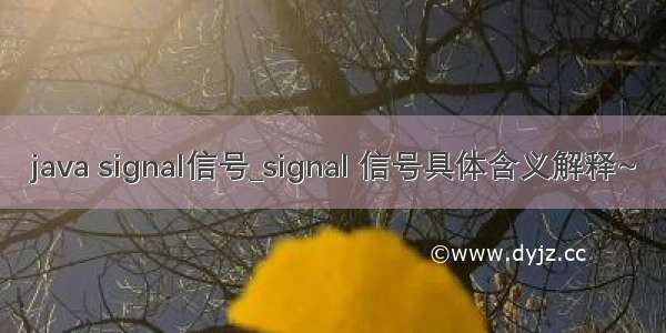 java signal信号_signal 信号具体含义解释~