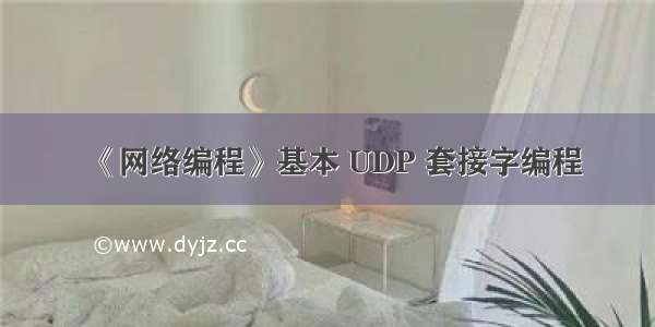 《网络编程》基本 UDP 套接字编程