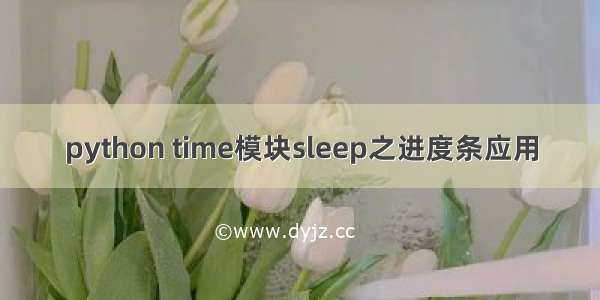 python time模块sleep之进度条应用