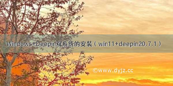 Windows+Deepin双系统的安装（win11+deepin20.7.1）