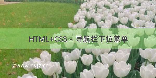 HTML+CSS - 导航栏下拉菜单