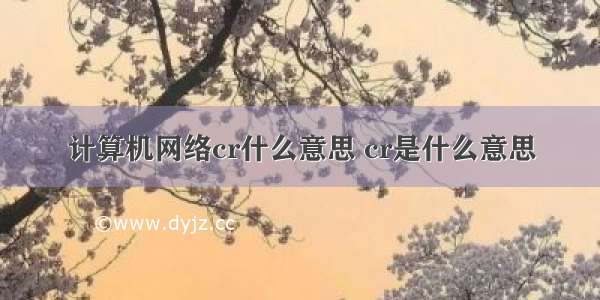 计算机网络cr什么意思 cr是什么意思