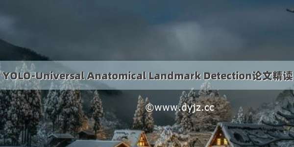 YOLO-Universal Anatomical Landmark Detection论文精读