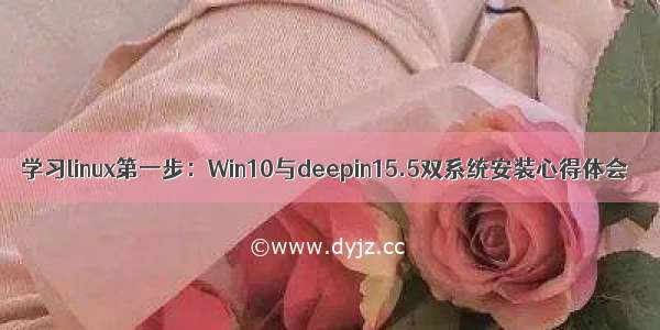 学习linux第一步：Win10与deepin15.5双系统安装心得体会