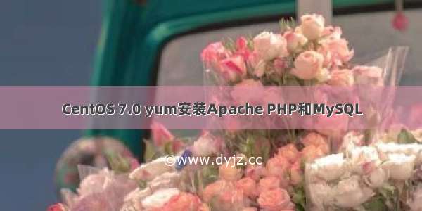 CentOS 7.0 yum安装Apache PHP和MySQL