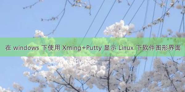 在 windows 下使用 Xming+Putty 显示 Linux 下软件图形界面