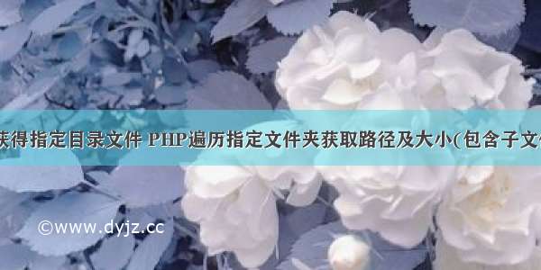 php获得指定目录文件 PHP遍历指定文件夹获取路径及大小(包含子文件夹)