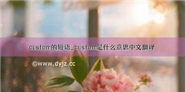 custom的短语_custom是什么意思中文翻译
