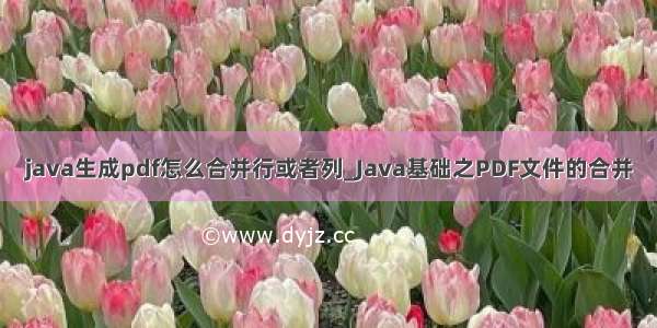 java生成pdf怎么合并行或者列_Java基础之PDF文件的合并