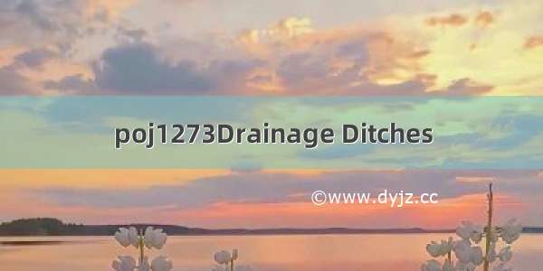 poj1273Drainage Ditches