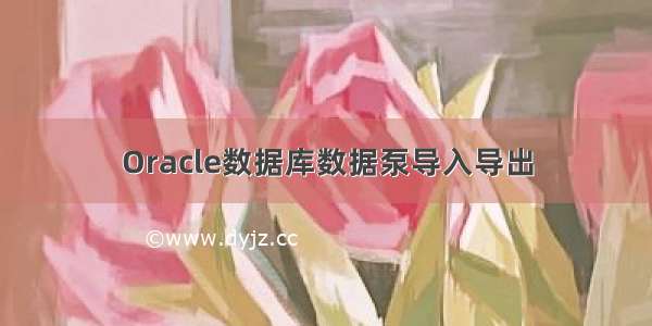 Oracle数据库数据泵导入导出