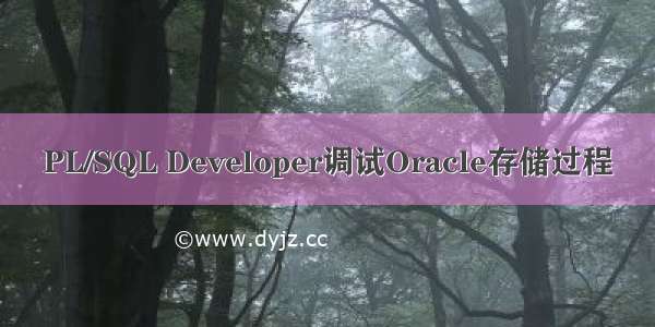 PL/SQL Developer调试Oracle存储过程