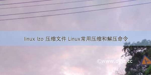 linux lzo 压缩文件 Linux常用压缩和解压命令