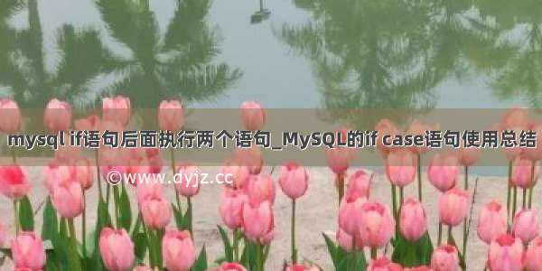 mysql if语句后面执行两个语句_MySQL的if case语句使用总结