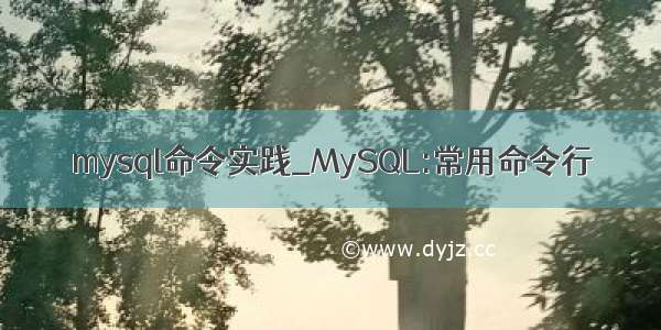 mysql命令实践_MySQL:常用命令行