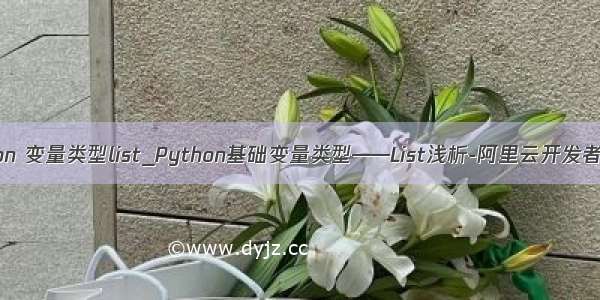 python 变量类型list_Python基础变量类型——List浅析-阿里云开发者社区