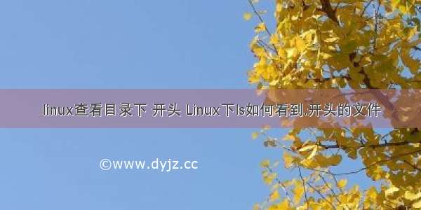 linux查看目录下 开头 Linux下ls如何看到.开头的文件