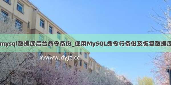 mysql数据库后台命令备份_使用MySQL命令行备份及恢复数据库