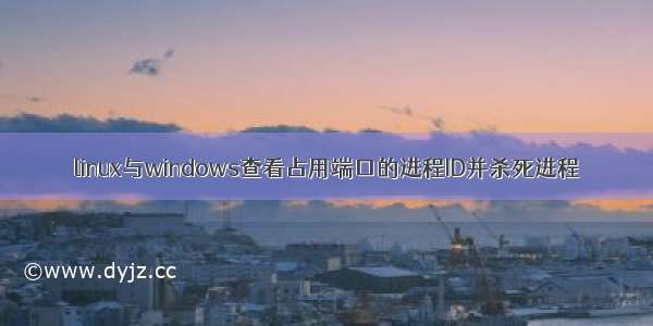 linux与windows查看占用端口的进程ID并杀死进程