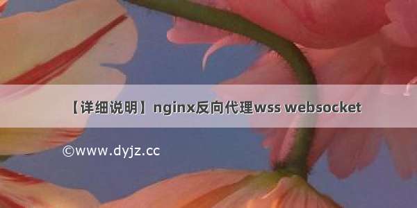 【详细说明】nginx反向代理wss websocket