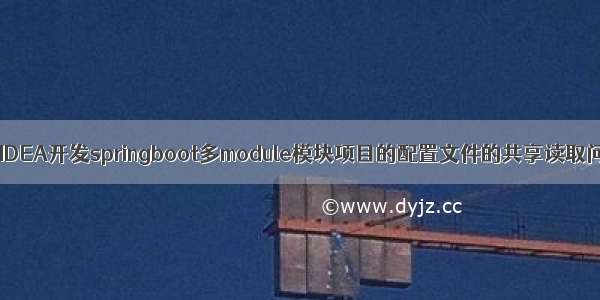 使用IDEA开发springboot多module模块项目的配置文件的共享读取问题