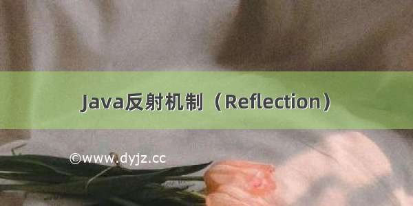 Java反射机制（Reflection）