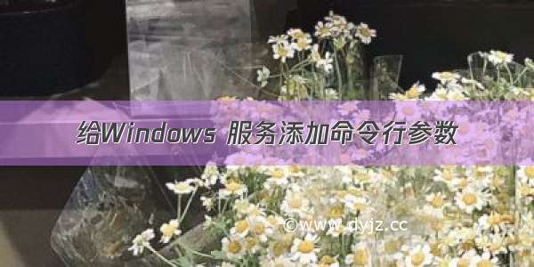 给Windows 服务添加命令行参数