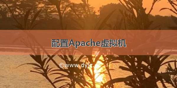 配置Apache虚拟机