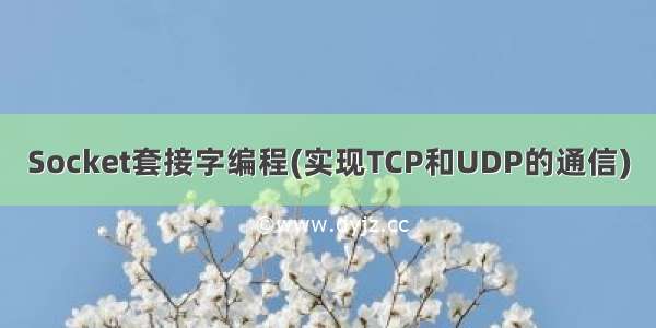 Socket套接字编程(实现TCP和UDP的通信)