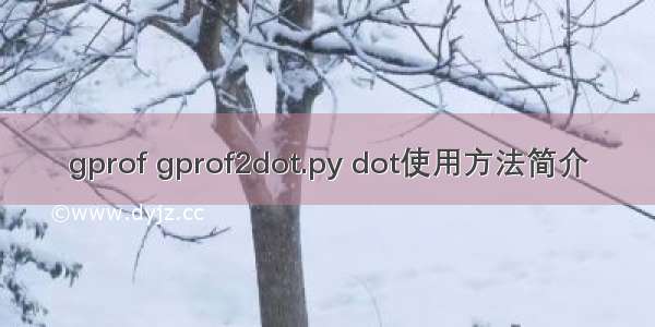 gprof gprof2dot.py dot使用方法简介