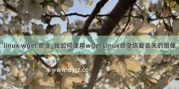 linux wget 命令_我如何使用wget Linux命令恢复丢失的图像