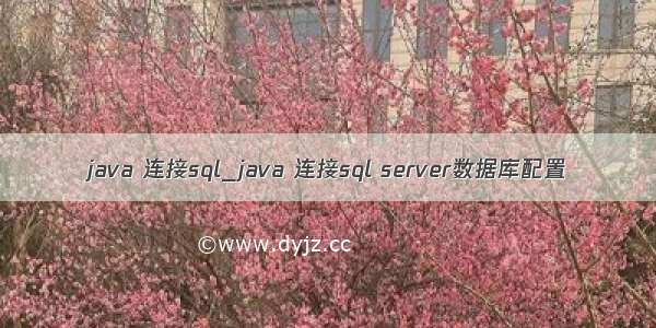 java 连接sql_java 连接sql server数据库配置