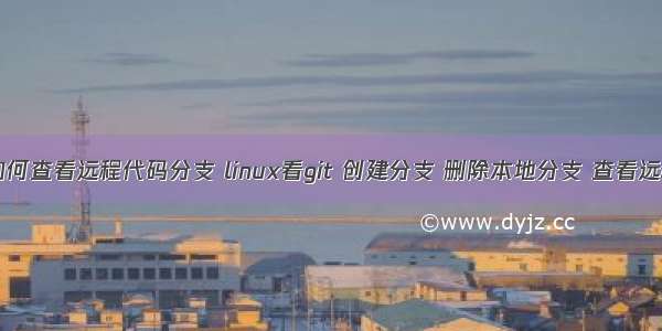 linux 如何查看远程代码分支 linux看git 创建分支 删除本地分支 查看远程分支 