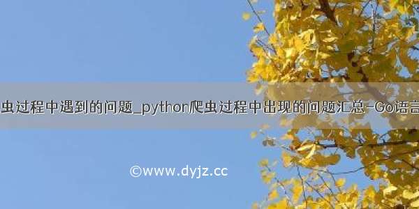 python爬虫过程中遇到的问题_python爬虫过程中出现的问题汇总-Go语言中文社区