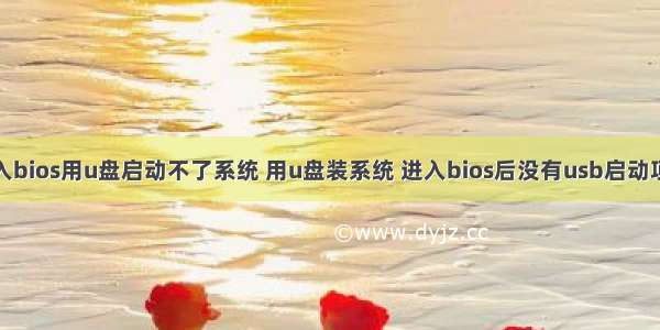 服务器进入bios用u盘启动不了系统 用u盘装系统 进入bios后没有usb启动项怎么办...