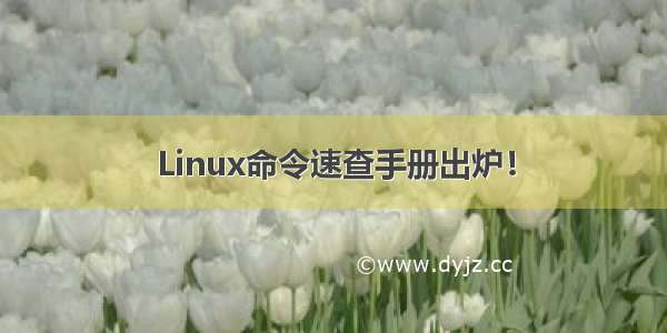 Linux命令速查手册出炉！